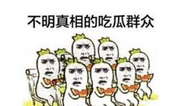 菲律宾吃瓜群众,瓜田里的新鲜事儿