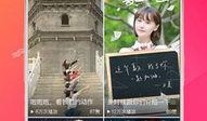 每日聪惠吃瓜视频大全下载,揭秘聪惠视频大全下载攻略