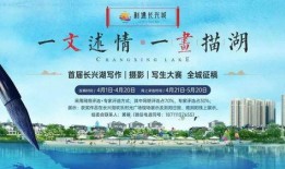每日大赛的分享怎么写,精彩瞬间与策略解析