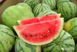 今日推荐吃瓜,揭秘娱乐圈最新“吃瓜”大事件