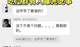 每日吃瓜 聊天记录,揭秘娱乐圈幕后故事