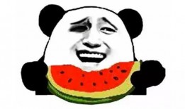 菲律宾吃瓜群众,瓜田里的新鲜事儿