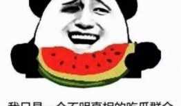 吃瓜群众真,吃瓜群众眼中的明星生活