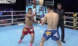 推特每日格斗大赛,热血对决，谁将问鼎巅峰？”