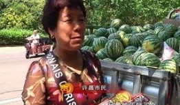 吃瓜群众小琼,揭秘娱乐圈那些事儿