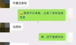 每日吃瓜 聊天记录,揭秘娱乐圈幕后故事