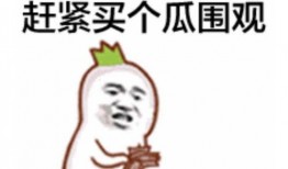 今日头条吃瓜群众表情包,笑料横生，趣味十足