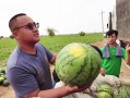 每日吃瓜必吃,娱乐圈新鲜事盘点