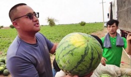 每日吃瓜必吃,娱乐圈新鲜事盘点